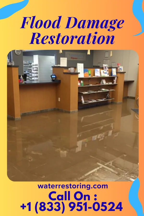 Flood Damage Restoration in Calabash, NC